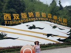 -西双版纳原始森林公园
