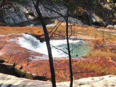 -广州白江湖森林公园