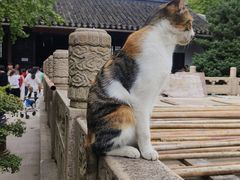 -西园戒幢律寺