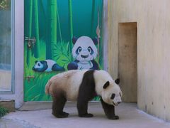 -西安秦岭野生动物园