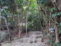 -三亚亚龙湾人间天堂鸟巢度假村