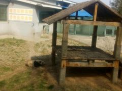 -石家庄市动物园