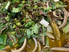 -乐山第一家临江鳝丝(茶坊路店)