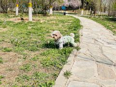 -绿堤公园