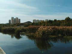 -前关湿地公园