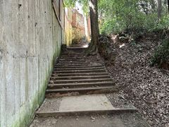 -西湖风景区十里琅珰-五云山
