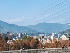 -福道