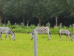 -哈尔滨北方森林动物园