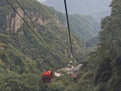-牛背梁国家森林公园