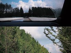 -黄海国家森林公园