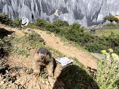 -墨石公园景区