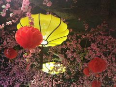 -九庄火锅(龙游店)