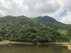 -广东惠东海龟国家级自然保护区
