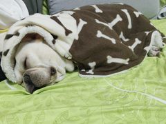 -清晖小苑•顺德地方菜(壹海城店)