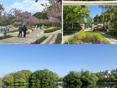 -新江湾城公园