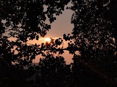 -尊宝比萨(科华店)