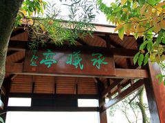 -野狸岛
