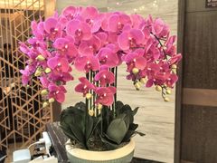 -上海小南国(国发店)