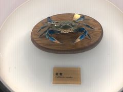 -陕西自然博物馆