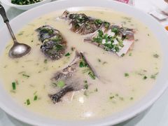 鱼头豆腐汤-天宫南铂玫瑰园酒店