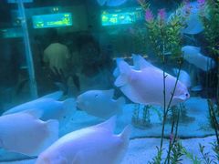 -洛阳龙门海洋馆
