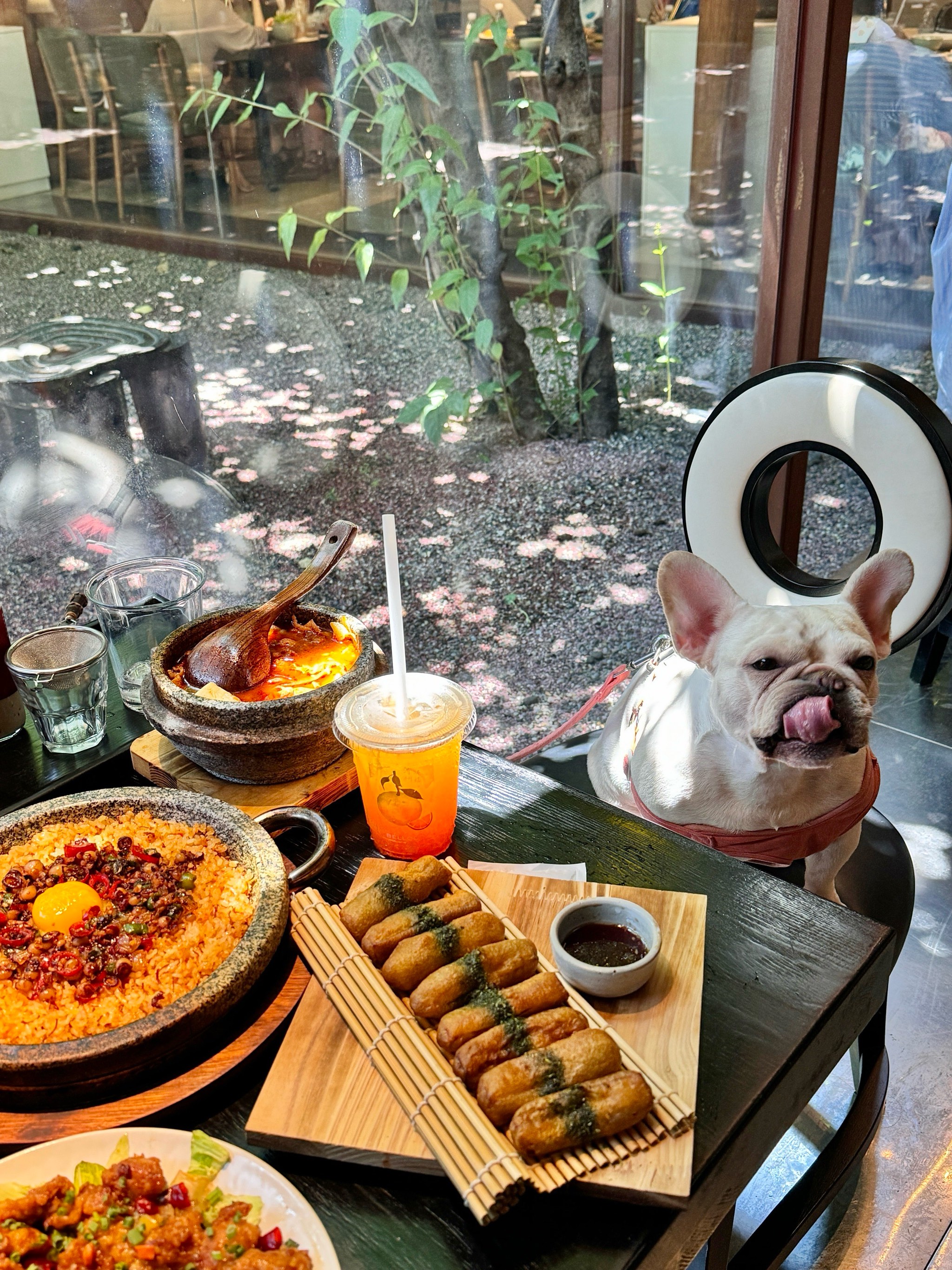 北京宠物主题餐厅图片