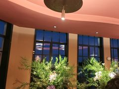 -滇野云南野生菌餐厅(陕西南路店)