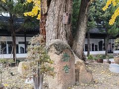 -苏州文庙(姑苏区)