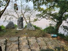 -平湖九龙山庄园圣马可酒店