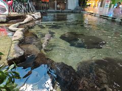 -鸿通城购物中心