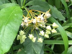 -华南国家植物园-售票处