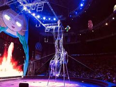 -俄罗斯国家大马戏团