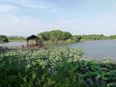 -上海市保健医疗中心(华东疗养院)