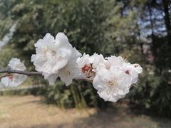 -颐和园