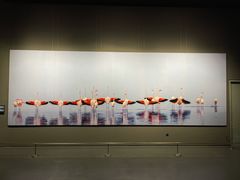 -罗红摄影艺术馆