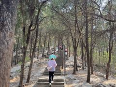 -云龙山