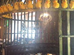 -三人行骨头王火锅(长寿店)