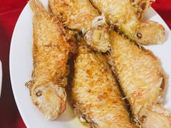 -蛇口康乐快餐鱼仔档(翠苑小区店)