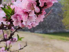 -北京明城墙遗址公园