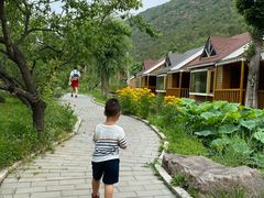 -仙居谷风景区