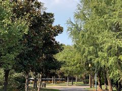 -同里国家湿地公园