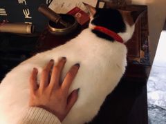 -江湖边·小生活