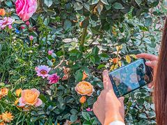 -人民公园(罗湖区)