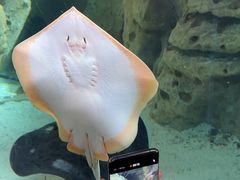 -珠海长隆海洋王国