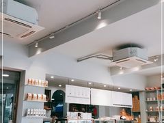-WHEN PIGS FLY当猪飞