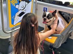 -帕帕拉兹宠物(亚洲旗舰店)