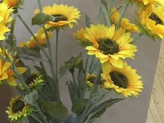 -飞童凡响艺术学校(松江区九里亭校区)