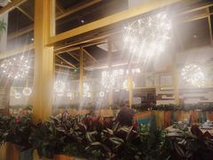 -原味四季椰子鸡(公明百佳华店)