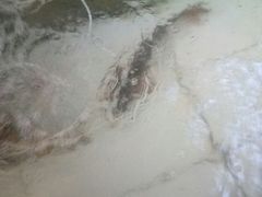 -水库活鱼馆(于桥水库店)