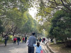 -南京市江宁方山
